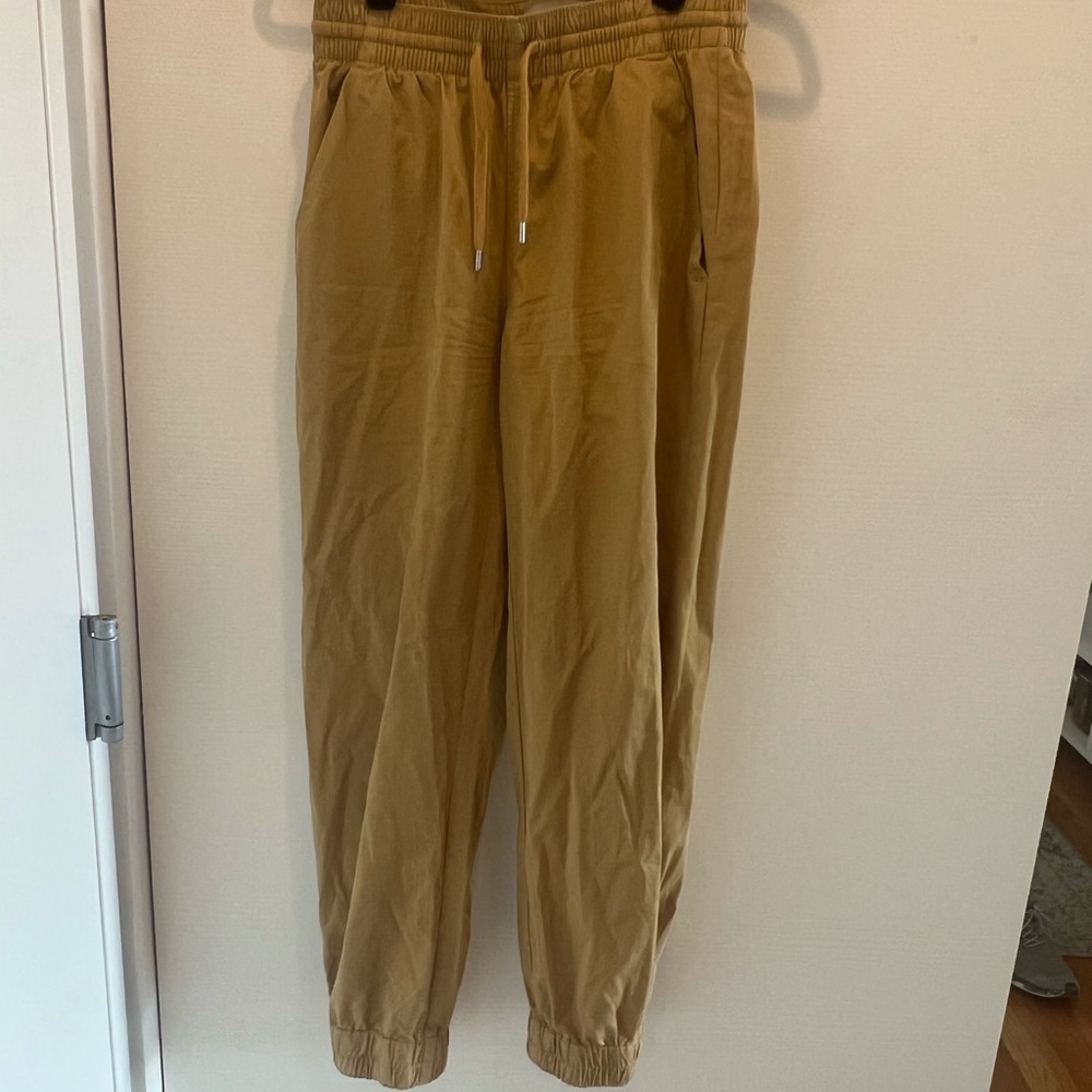 Everlane tan joggers